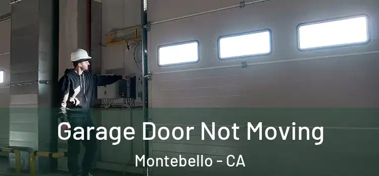  Garage Door Not Moving Montebello - CA